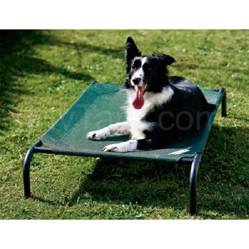 coolaroo dog bed medium